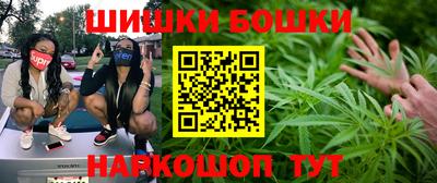 индика Нальчик