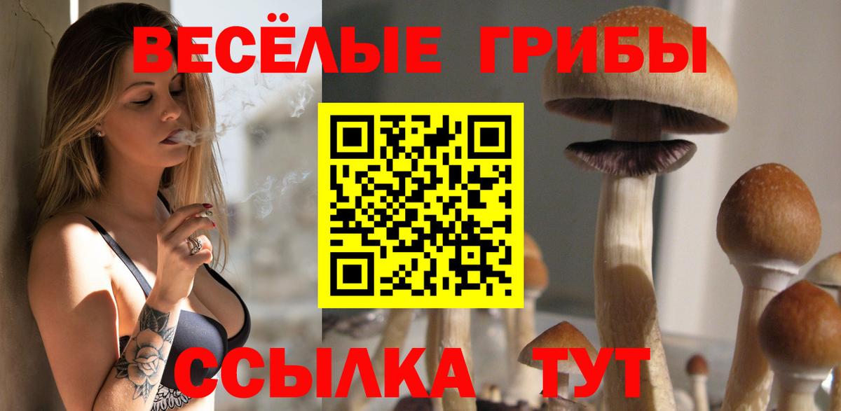 Галлюциногенные грибы Psilocybine cubensis  Вход с VPN  Тольятти 